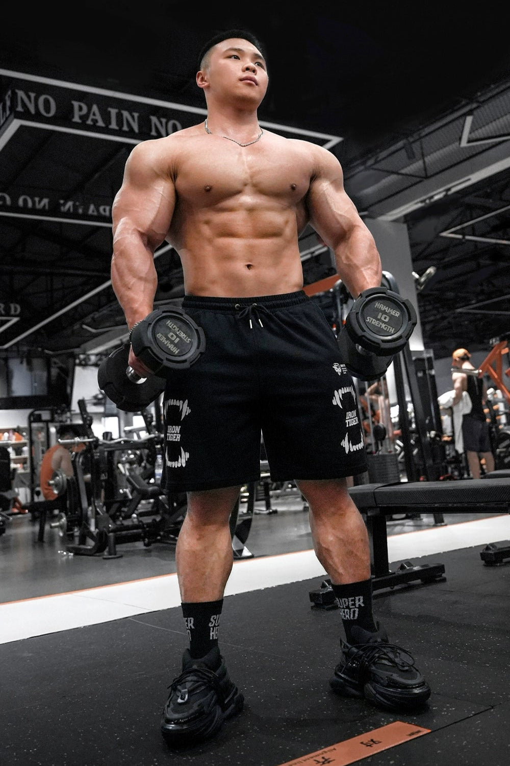 Iron Tiger Training Shorts #MS008