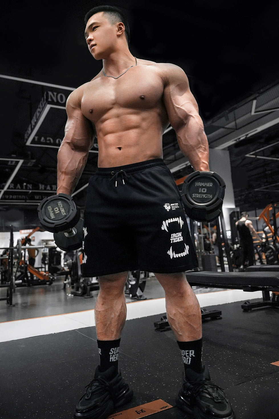 Iron Tiger Training Shorts #MS008