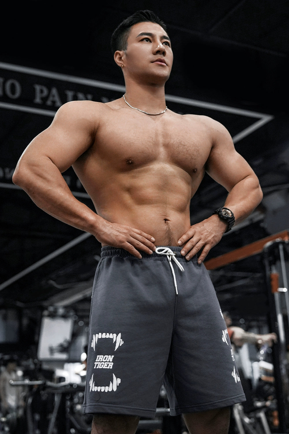 Iron Tiger Training Shorts #MS008