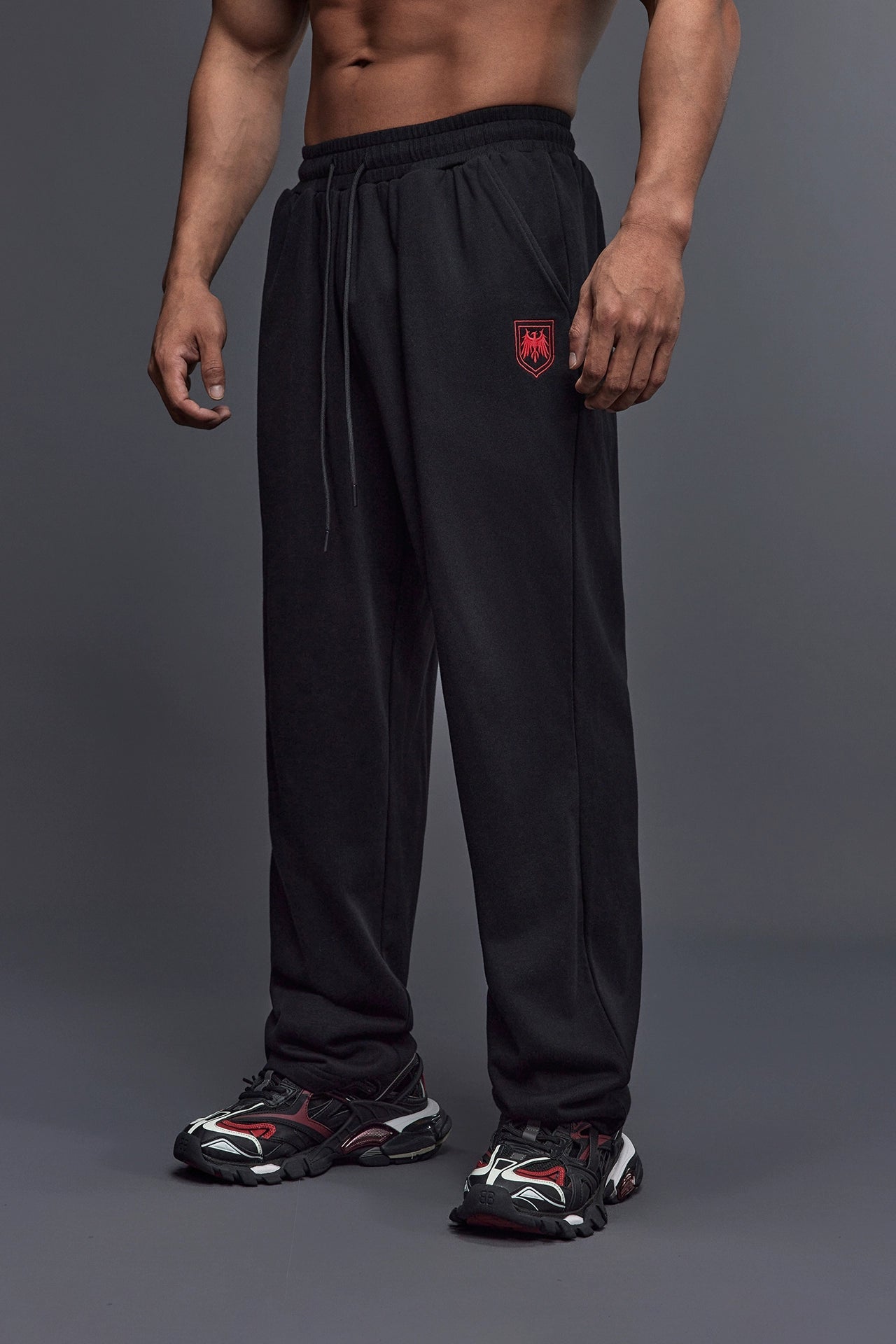 Shield Emblem Wide Sweatpants  #TK030